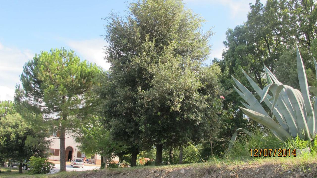 Locanda San Marino Al Coppo Monte Grimano Terme Zewnętrze zdjęcie